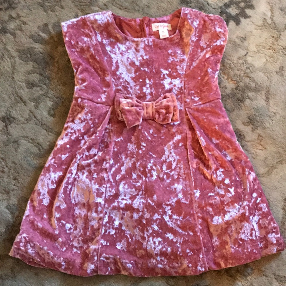 Rose colors velvet dress